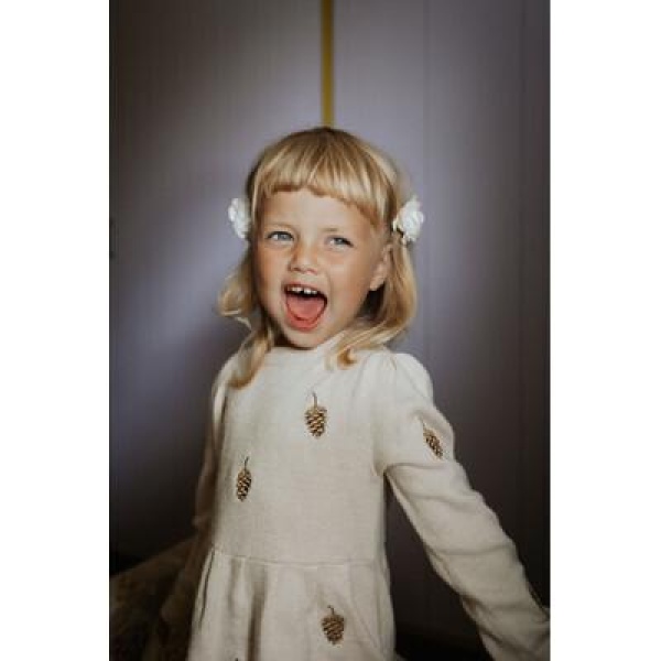 FLIINK BENNA EMBR. DRESS - Bilde 3
