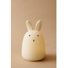 Winston night light